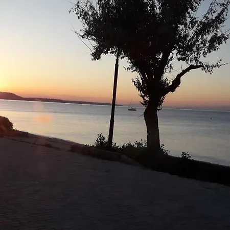 Spanos Anna's Políhrono