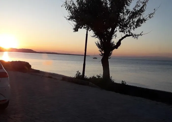 Spanos Anna's Polychrono