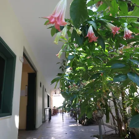 Spanos Anna's Πολύχρονο