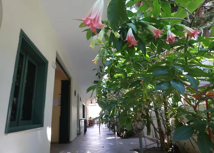 Spanos Anna's 波利克罗诺